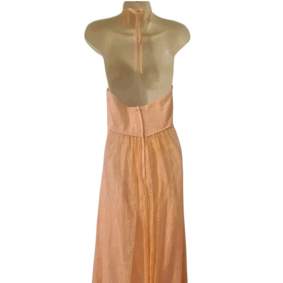 Bellini Dress Maxi High Neck Lace Halter Party Chantilly Lace-Peach Coral Size 6 - Picture 4 of 5